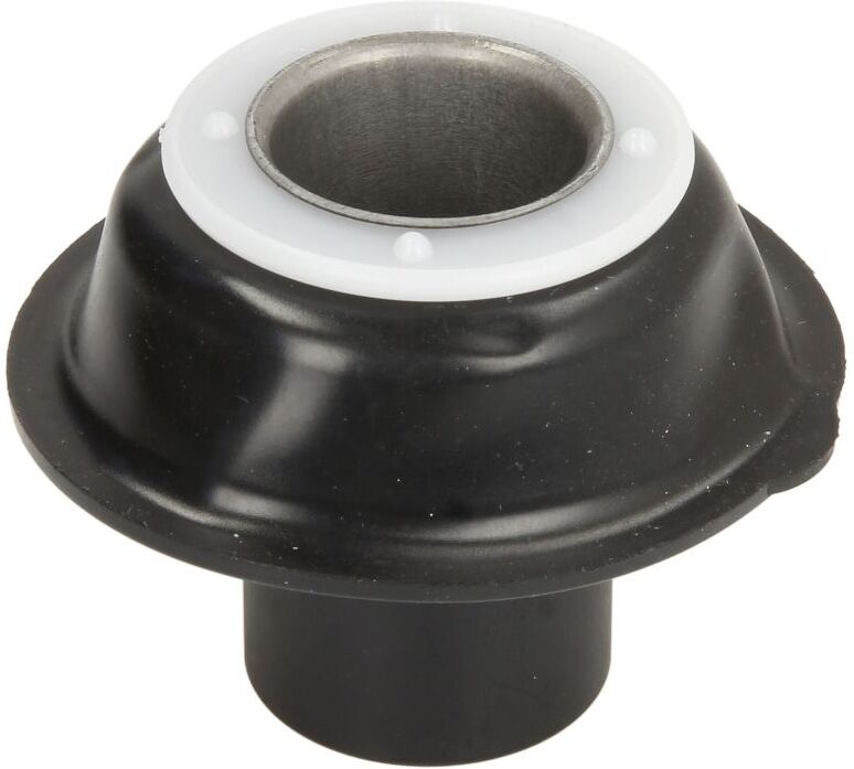 Rms Membrana del carburatore 12 166 1170