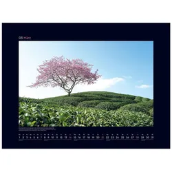 Kunth, Kalender, Aufgeblüht - Wandkalender 2027