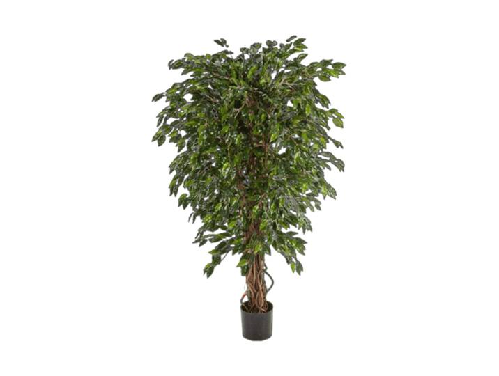 Lebensechte Kunstpflanze „Ficus Hawaiian Liana“, verschiedene Grössen Grün Baq Design