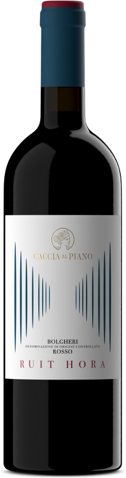 Bolgheri Rosso 'Ruit Hora' Caccia al Piano 2023