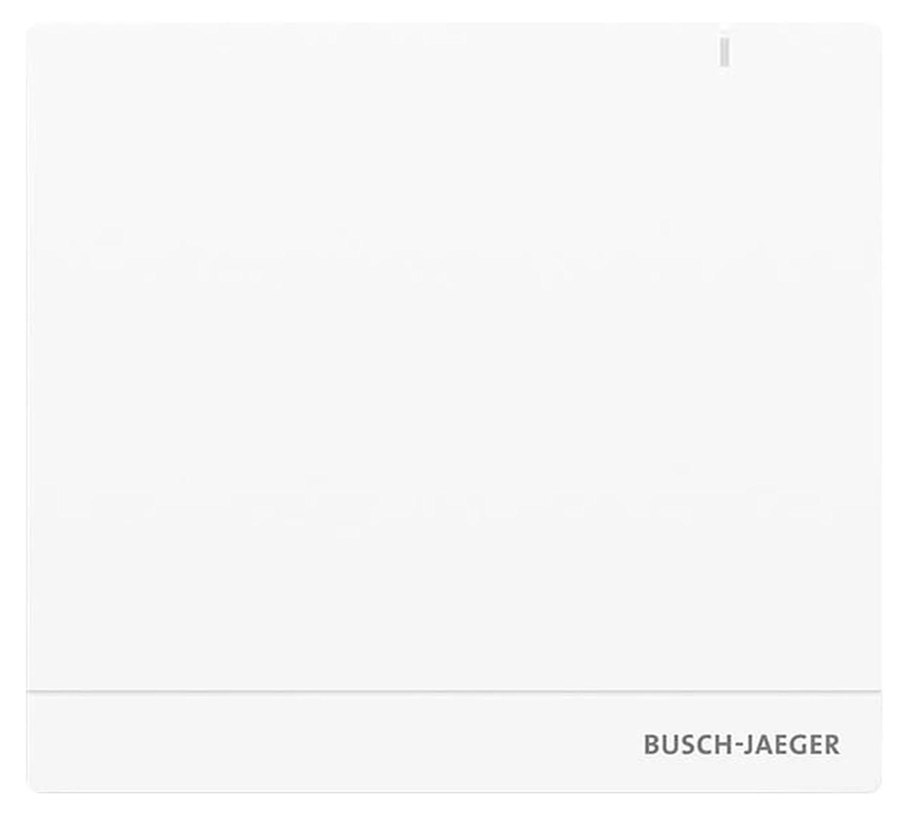 Busch-Jaeger Busch-free@home Smart-Home Zentrale 2.0 - Steuerung & Verwaltung, 1 Stk.
