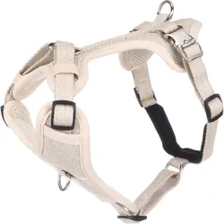 Flamingo H Lago (XL, Hund, Spazieren), Halsband + Leine