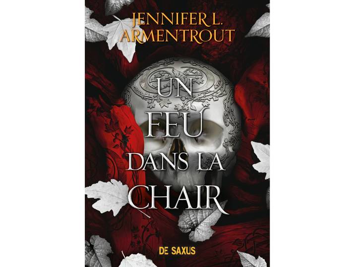 La Chair et le Feu - Tome 03 Un feu dans la chair broché (Grand format)