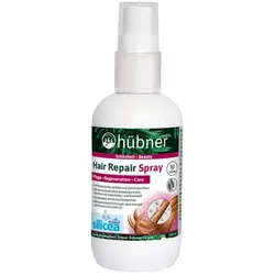 Hübner Hair Repair Spray