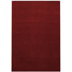 Teppich Flur Einfarbig Pflegeleicht Waschbar Strapazierfähig Wohnzimmer Schlafzimmer Rot 200x290 cm – MAIN von Kadima Design