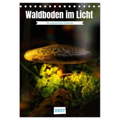 Waldboden im Licht (Tischkalender 2027 DIN A5 hoch), CALVENDO Monatskalender
