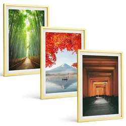 BILDER SET 3er Set - 40x60 cm Goldrahmen - Fuji-Bambuswaldlandschaft