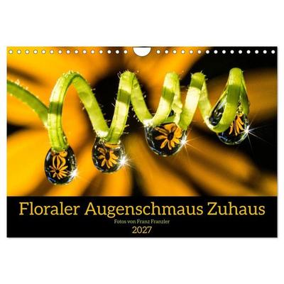 Floraler Augenschmaus Zuhaus (Wandkalender 2027 DIN A4 quer), CALVENDO Monatskalender