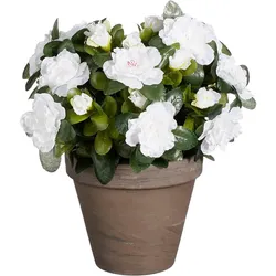 Mica Decorations, Kunstpflanzen, Azalee Kunstpflanze im Blumentopf Stan - H31 x Ø26 cm - Weiss (31 cm)