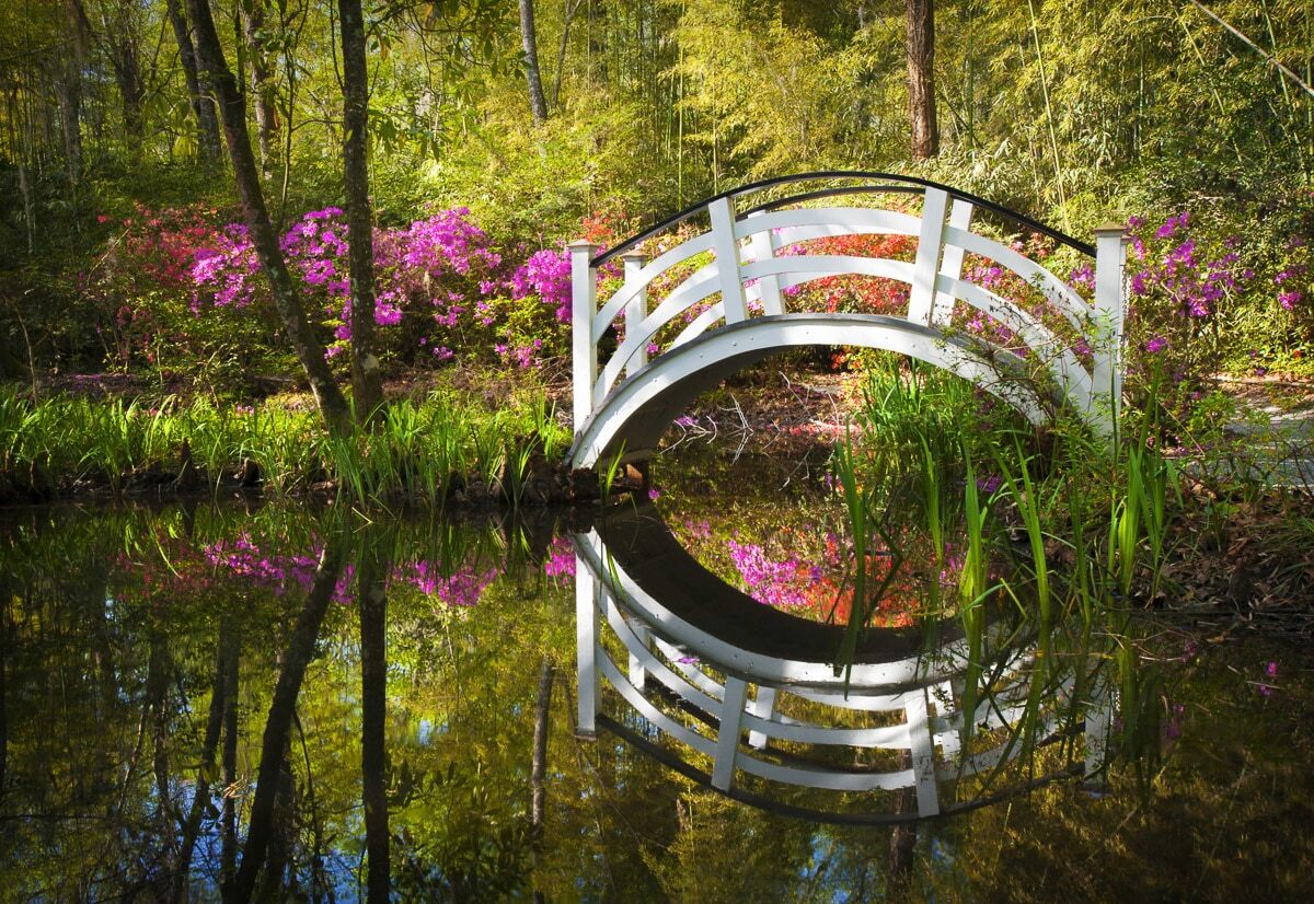 Papermoon "Brücke im Park" bunt B/L: 2,5m x 1,86m, Bahnen: 5 Stk.