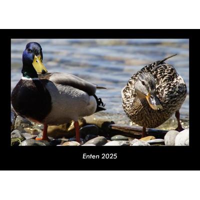 Enten 2025 Fotokalender DIN A3