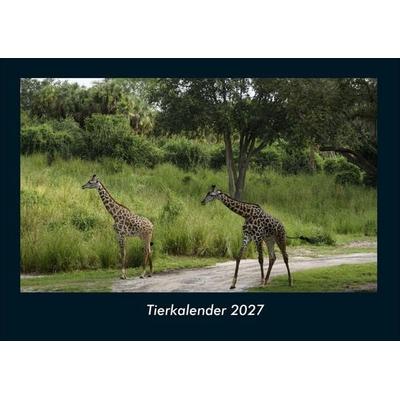 Tierkalender 2027 Fotokalender DIN A4