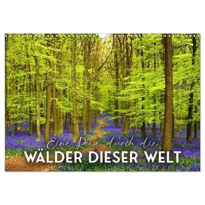 Eine Reise durch die Wälder dieser Welt (Wandkalender 2027 DIN A3 quer), CALVENDO Monatskalender