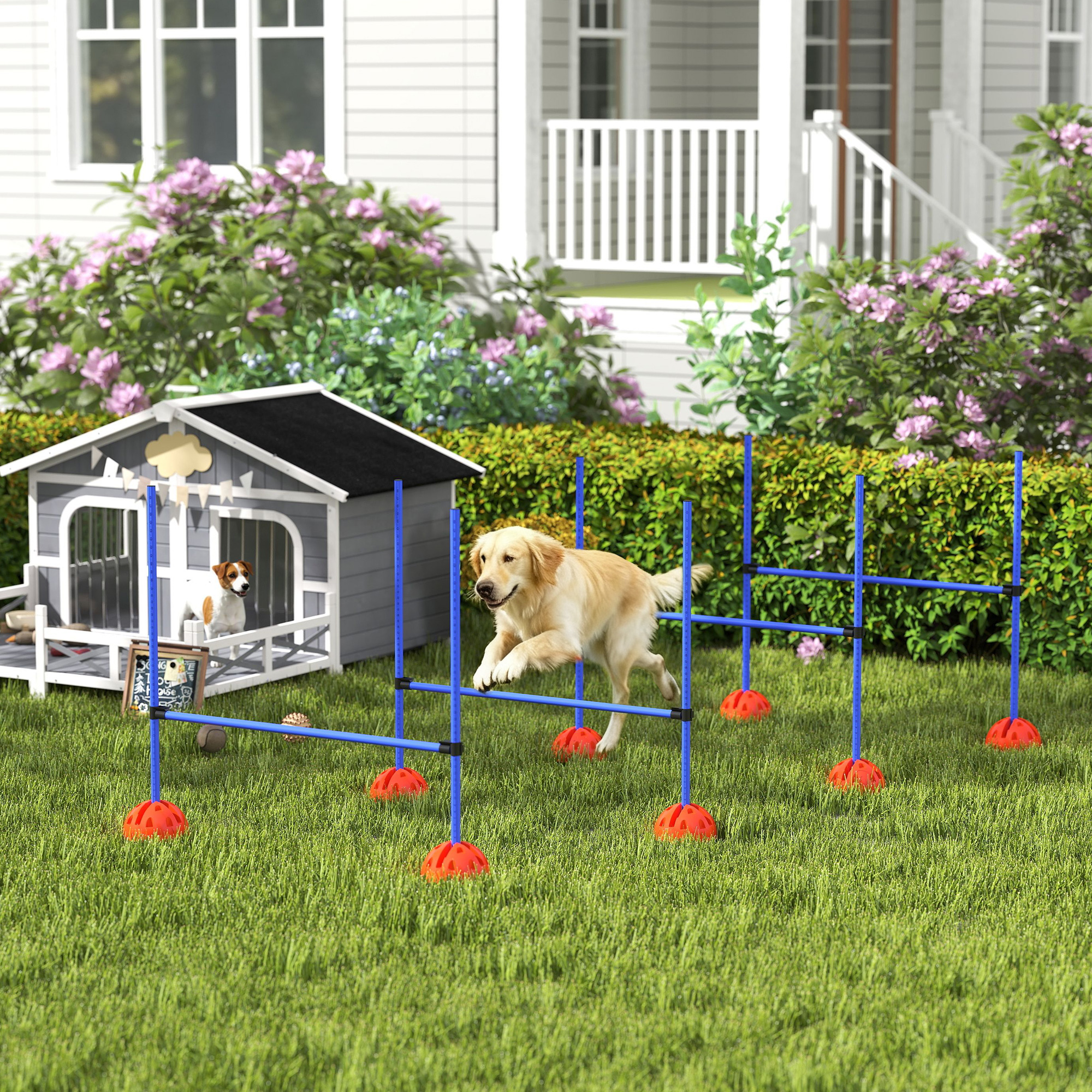 Pawhut Set Agility per cani con 4 ostacoli e borsa da trasporto per allenamento salti, 124x19,5x103 cm, Blu   Aosom Italy