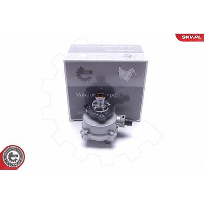 Esen Skv Unterdruckpumpe, Bremsanlage [Hersteller-Nr. 18SKV022] für Alpina, BMW