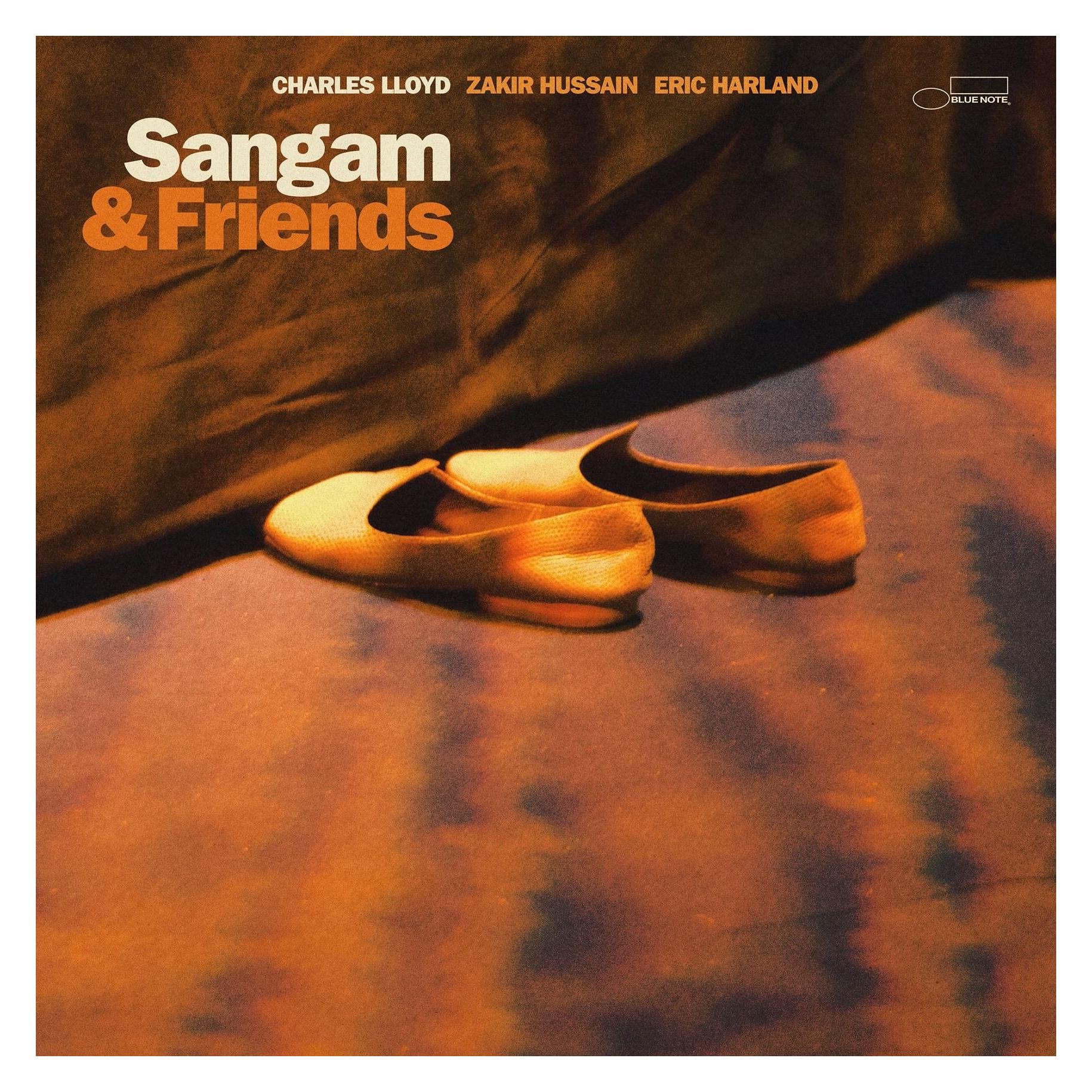 United Medical Partners Sangam & Friends (VINYL) (72694158)
