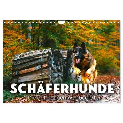 Schäferhunde - Die gutmütigen Wegbegleiter. (Wandkalender 2027 DIN A4 quer), CALVENDO Monatskalender