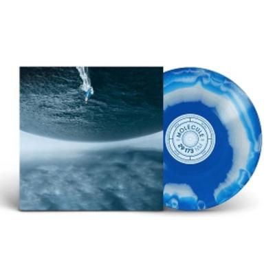 29 173 NM (Original Motion Picture Soundtrack) - Molecule, Vinyl