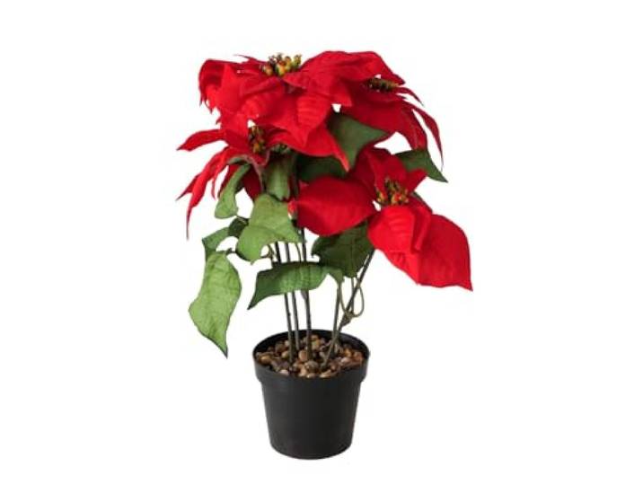 BOLTZE Weihnachtsstern Topfpflanze Plastik 40cm