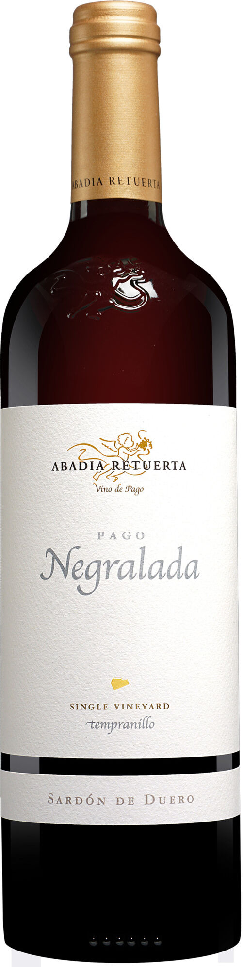 Abadía Retuerta »Pago Negralada« 2019 14.5% Vol. Rotwein Trocken aus Spanien