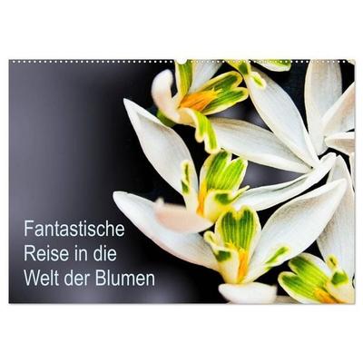Fantastische Reise in die Welt der Blumen (Wandkalender 2027 DIN A2 quer), CALVENDO Monatskalender