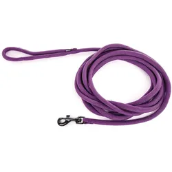 Martin Sellier Automatische Metallspritze mit Tauchrohr Nj Phillips (Hund, Katze, Nager, Spazieren), Halsband + Leine