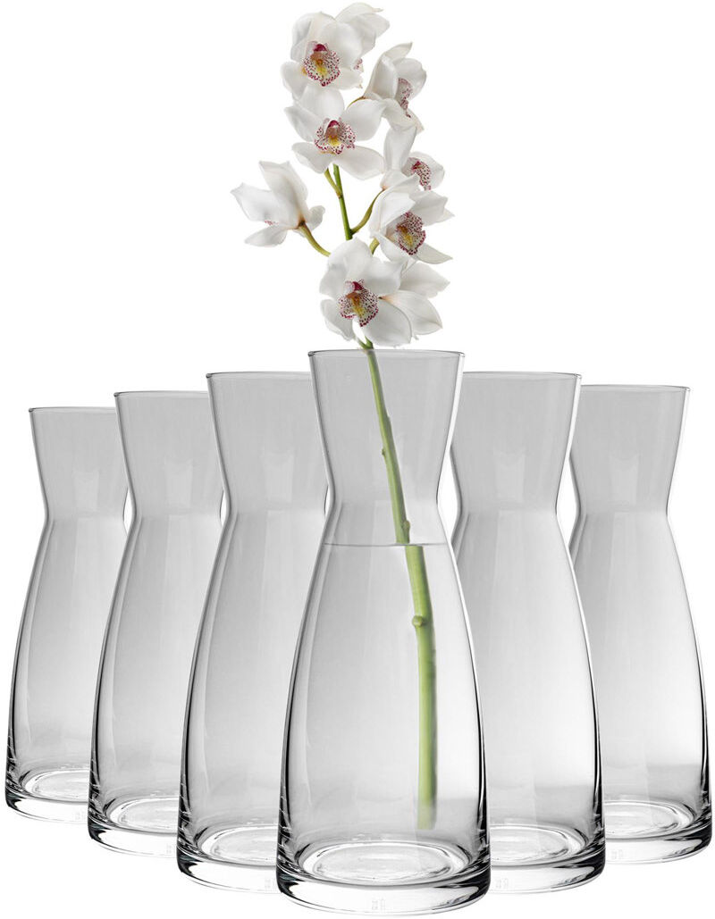 Bormioli Rocco Ypsilon Glass Carafe Clear 20.4cm H x 8.4cm W x 8.4cm D