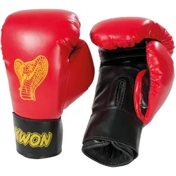 Kwon, Boxhandschuhe