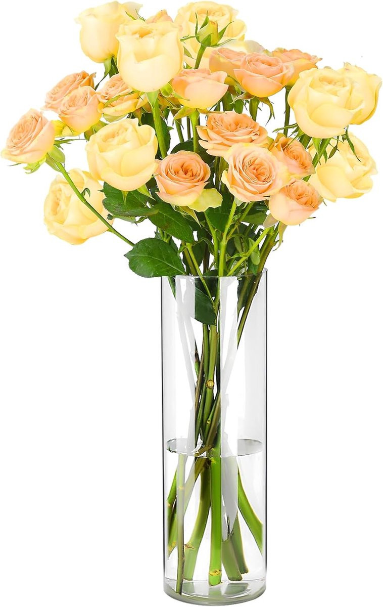 SnelShoppen Transparante Acrylaat Vaas - Schokbestendige Cilindrische Bloemenvaas voor Woonkamer, Slaapkamer, Kantoor of Badkamer