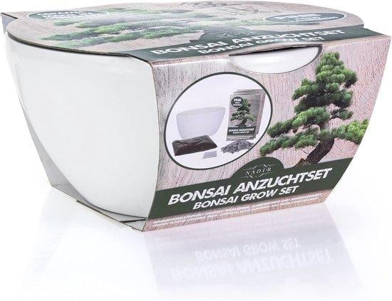 Bonsai Kweekset met Keramische Pot en Lavastenen