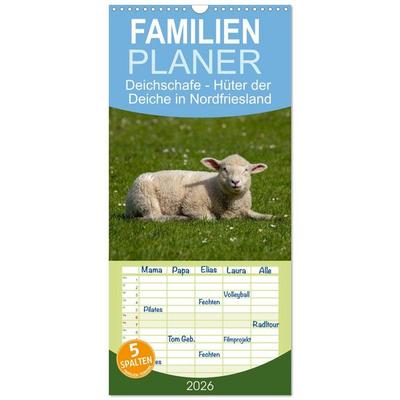 Familienplaner 2026 - Deichschafe - Hüter der Deiche in Nordfriesland mit 5 Spalten (Wandkalender, 21 x 45 cm) CALVENDO