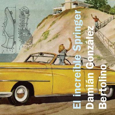 El increíble Springer - Damián González Bertolino, Audio, 9789178179220