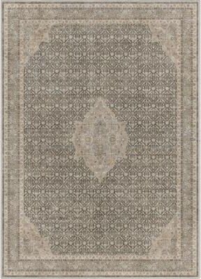 Well Woven Asha Lilith Persian Oriental Vintage Area Rug