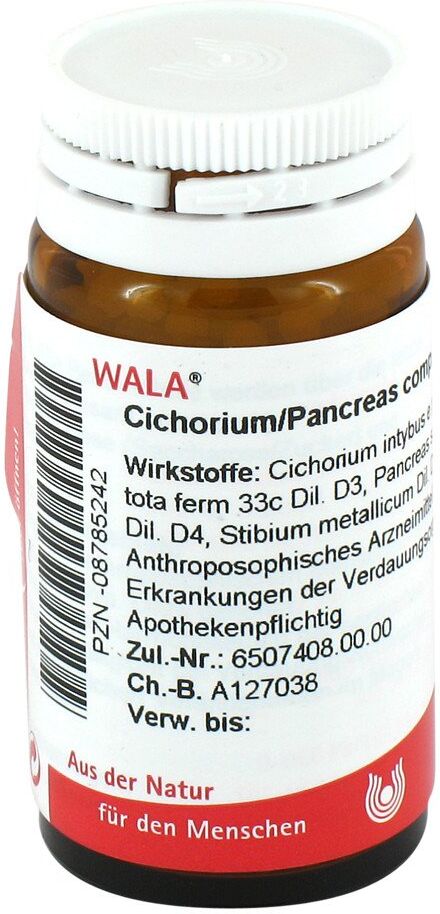 Wala Cichorium Pancreas Comp. Globuli