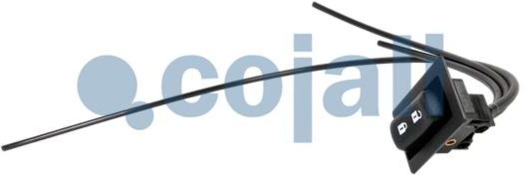 Cojali Valvola, servosterzo 2880251