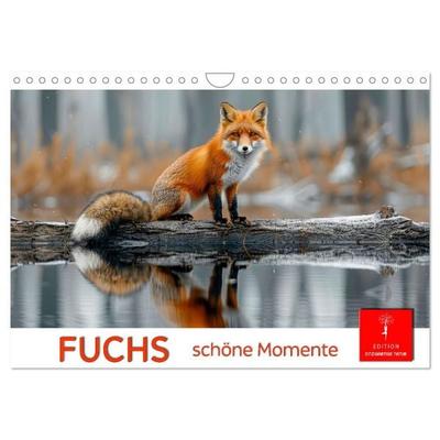 Fuchs - schöne Momente (Wandkalender 2027 DIN A4 quer), CALVENDO Monatskalender