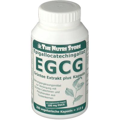 Egcg 100 mg Grüntee Extrakt plus Kapseln 200 St