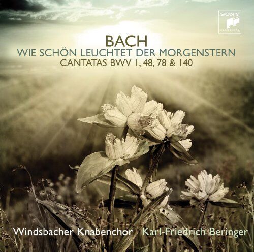Windsbacher Knabenchor - Bach: Wie schön leuchtet der Morgenstern - Preis vom 09.10.2026 07:28:09 h