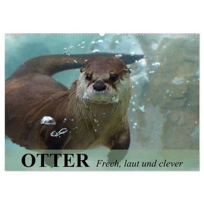 Otter. Frech, laut und clever (Wandkalender 2027 DIN A2 quer), CALVENDO Monatskalender