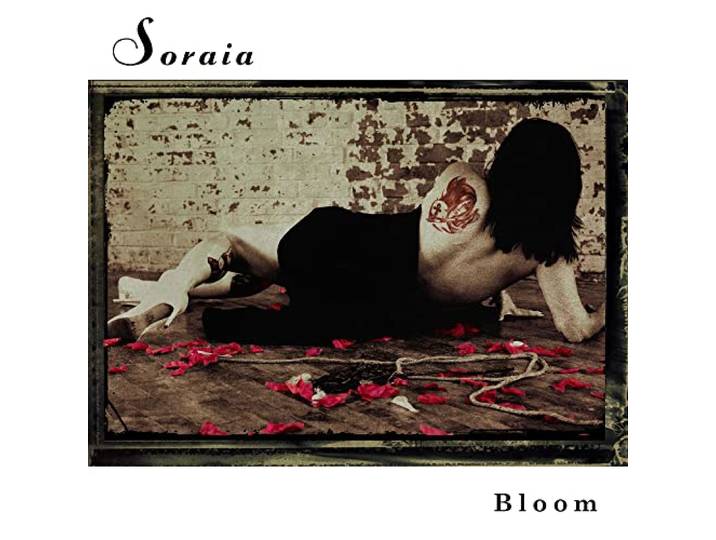 Bloom