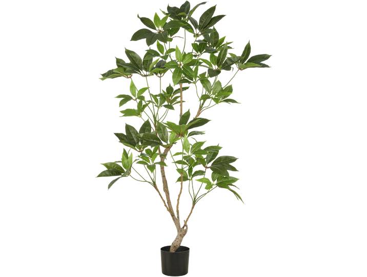 Kunstbaum CREATIV GREEN Zimmeraralie , grün, H:150cm, Kunststoff, Kunstpflanzen, Kunstbaum, mit naturgetreuer Gestaltung