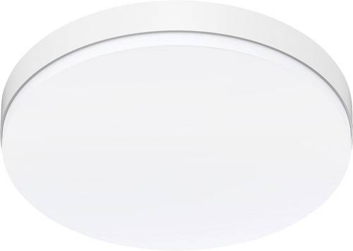 EVN AP27250125 AP27250125 LED-Panel 25W Warmweiß bis Tageslichtweiß Weiß