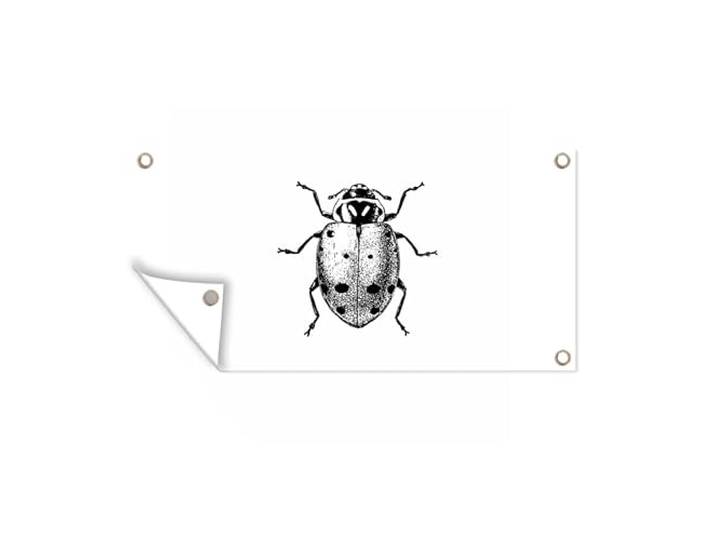 Tuinposter - 160x80 cm - Vintage - Lieveheersbeestje - Insecten - Zwart wit