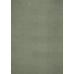 Fellteppich Loft Grün ca. 140x200cm
