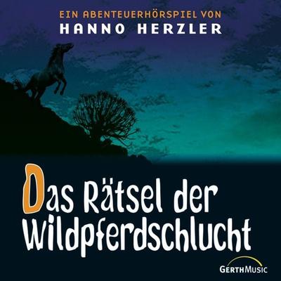 13: Das Rätsel der Wildpferdeschlucht - Hanno Herzler, Audio, 4029856548036