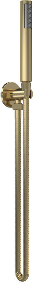 Nuie Shower Accessories Mixer Shower with Handheld Shower Head Brushed Brass 123cm H X 3cm W