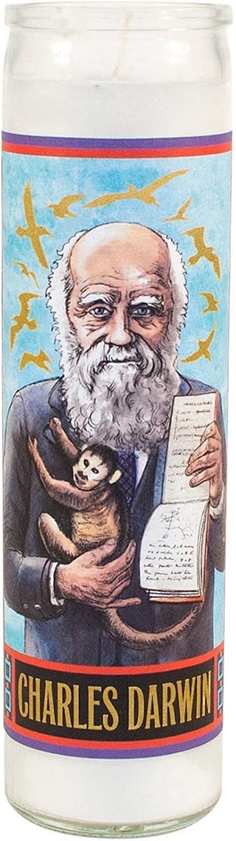 Charles Darwin Secular Saint Candle - Glazen Gebedskaars - 21,6 cm