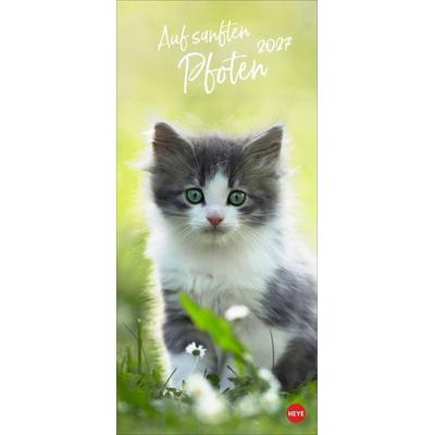 Katzen slim - Auf sanften Pfoten Kalender 2027
