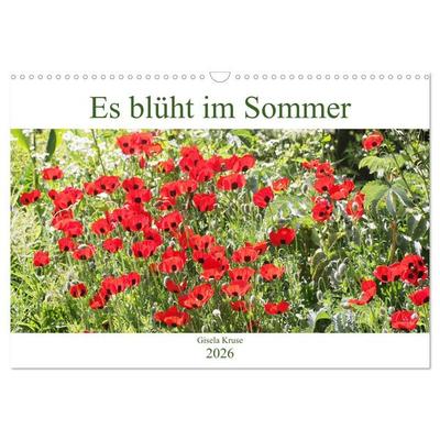 Es blüht im Sommer (Wandkalender 2026 DIN A3 quer), CALVENDO Monatskalender