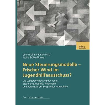 Neue Steuerungsmodelle — Frischer Wind im Jugendhilfeausschuss?, Taschenbuch von Ulrike Bussmann,Karin Esch,Sybille Stöbe-Blossey, VS Verlag für